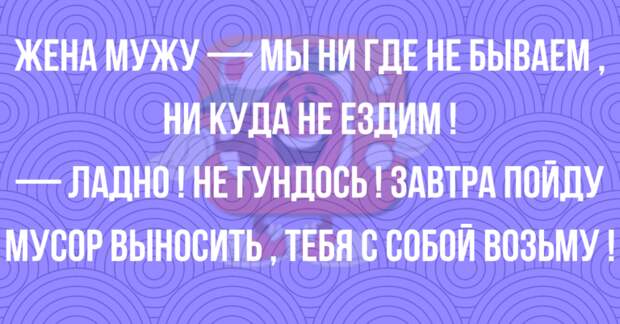 Анекдоты от которых прям смешно