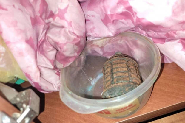 47news.ru: в Ленобласти месяц не могут обезвредить найденную в доме гранату