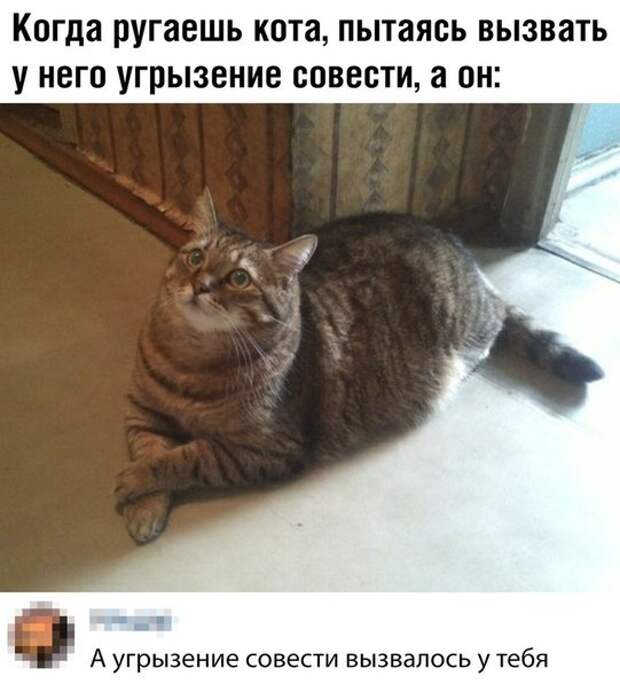 Картинки