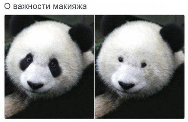Прикольные фотомемы (27 фото)