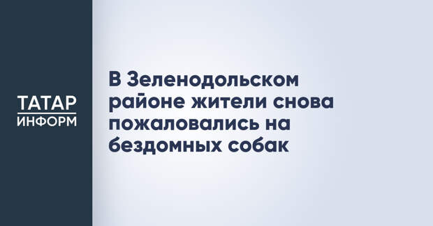 В Зеленодольском районе жители снова пожаловались на бездомных собак