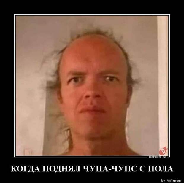 Прикольные демотиваторы (12 фото)