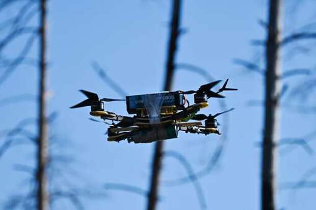 WSJ: Китайские инженеры обучают боевые беспилотники на ястребах и голубях