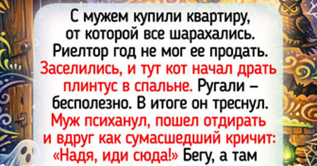 14 случаев, когда сообразительность пушистиков принесла хозяевам удачу