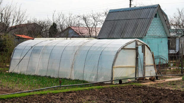 Штраф до 20 тысяч за обычную теплицу: Росреестр начал массовые проверки дачников с 1 мая