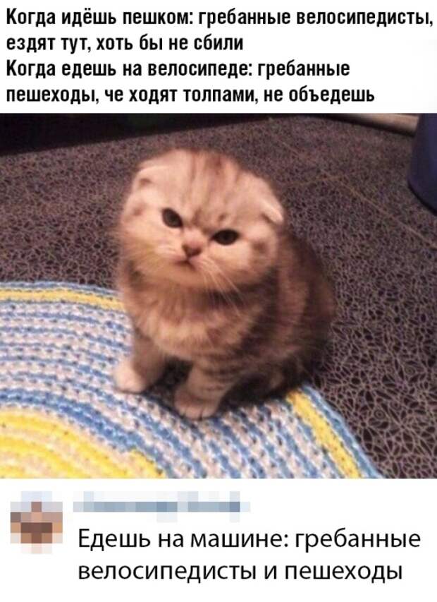 Подборка картинок. Вечерний выпуск (31 фото)
