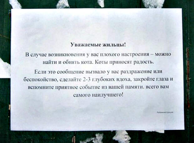 Источник хорошего настроения. Источник хорошего настроения.