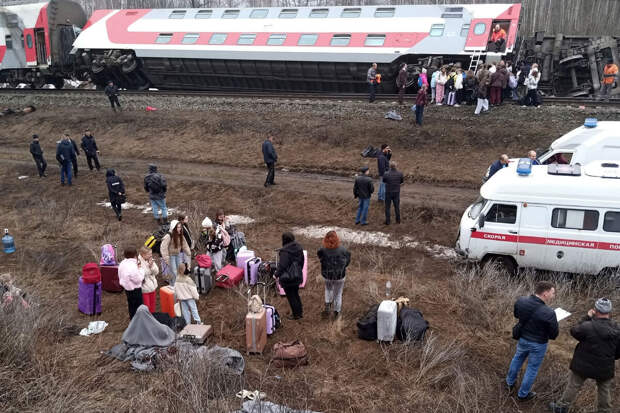 Собака пассажирки пропала после крушения поезда в Ульяновской области