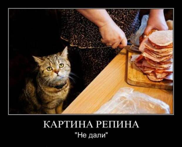 Подборка классных демотиваторов № 67