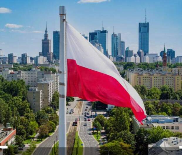 «Назло России обнищаем, но не купим баррель у русских» — русофобия разоряет Польшу