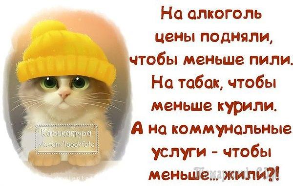 Смешные открытки с философские уклоном