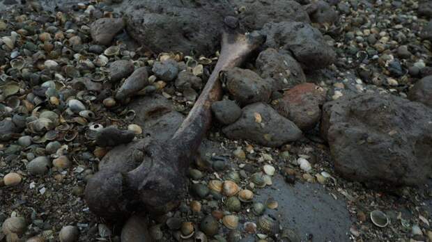 Остров мертвеца с человеческими останками в Великобритании