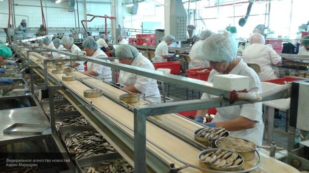 Шпротный упадок в Прибалтике: российская рыба вытеснила конкурента с рынка