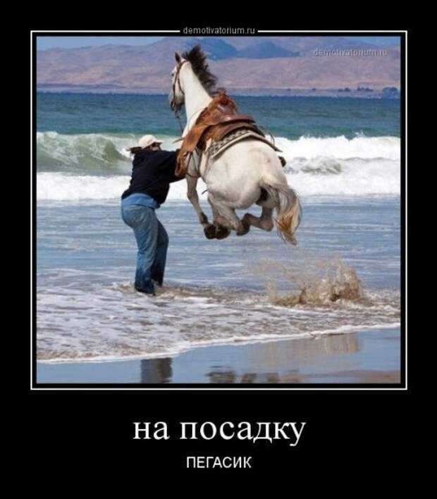 Сборник прикольных демотиваторов Сборник прикольных демотиваторов