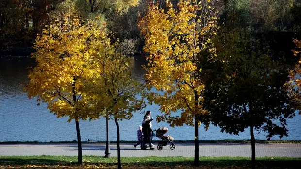 В Москве введут нерабочие дни с 28 октября по 7 ноября