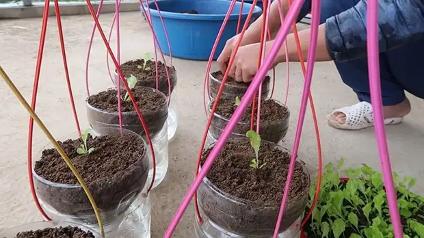 Как сделать подвесные горшки с самополивом