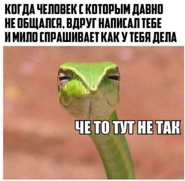 Подборка прикольных фото №1588 (118 фото)