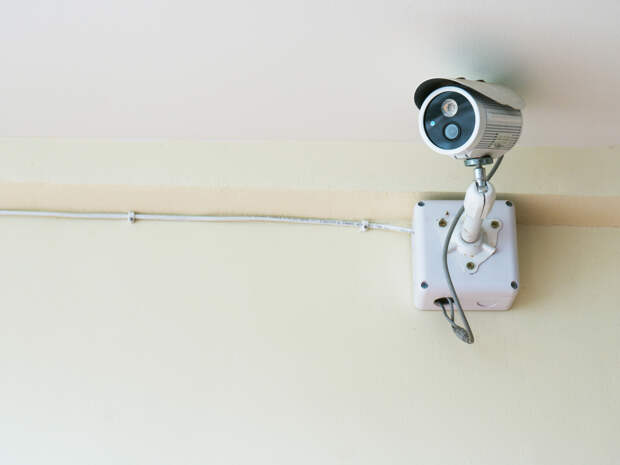 Россиянам назвали способ наказать соседа за видео в подъезде