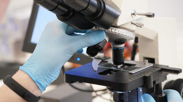 Школьники из РФ завоевали четыре медали на Международной олимпиаде по биологии