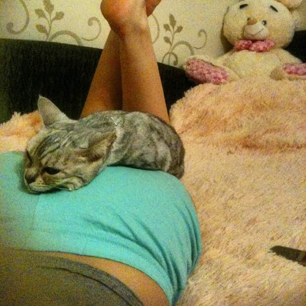 Кот спит на попе девушки комфорт, прикол