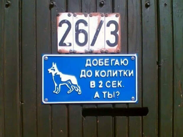 «А вам слабо?» | Фото: Pikabu.