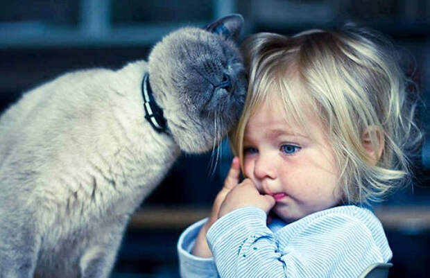 20 трогательных фотографий, доказывающих, что всем детям нужны домашние животные