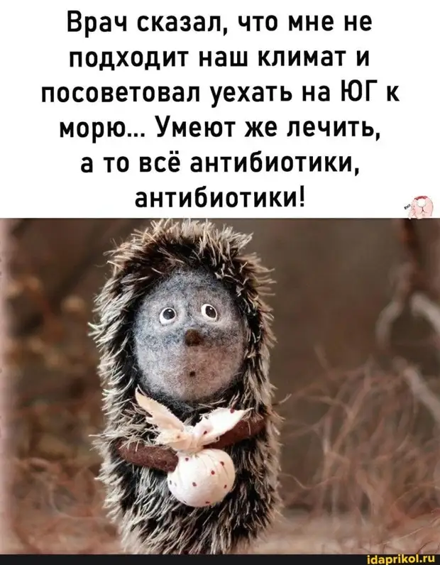 — Что хуже, когда жена не умеет готовить, или не любит готовить?  — Когда любит, но не умеет пидорасы, Нанял, обеда, отношений, голова, фундамент, женщины, болит, здесь, беременна, девушками, русского, распекает, молоденькую, домработницу, Мужчины, догулялась, можешь, сравнивать, своего