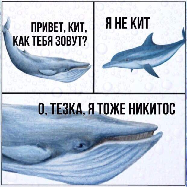 Подборка прикольных фото