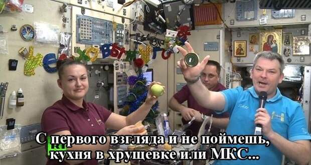 Приколы дня
