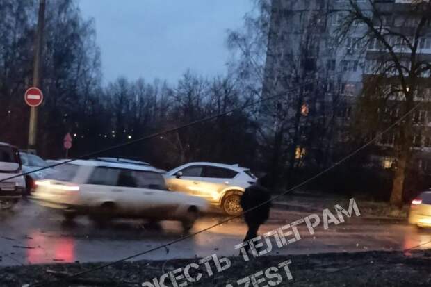 Упавшее на улице Маршала Жукова в Туле дерево оборвало линию электропередачи