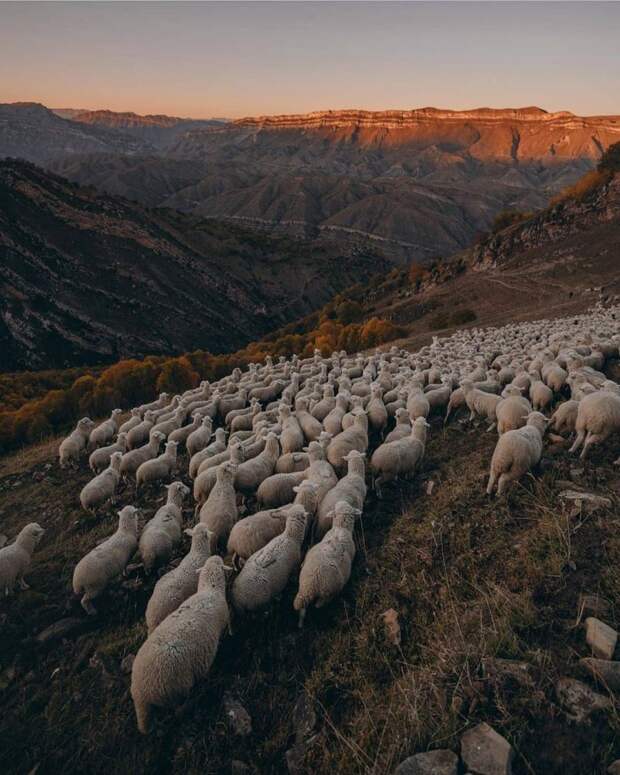 10 фото самых красивых мест Дагестана