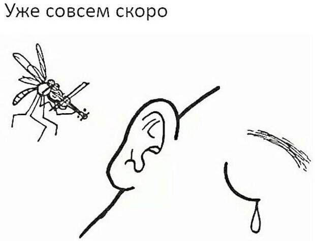 Картинки