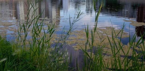 В Кургане в реке Тобол прохожие нашли труп рыбака