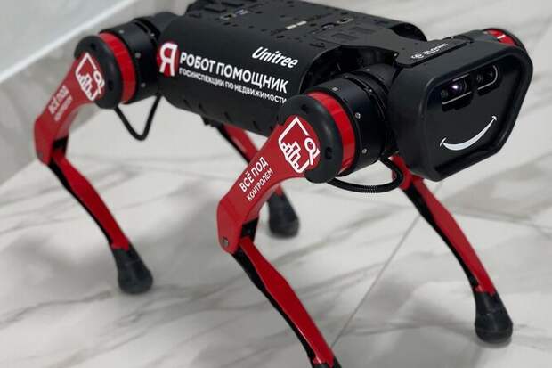 Охранники, танцоры и городские инспекторы: как мир использует знаменитых робособак