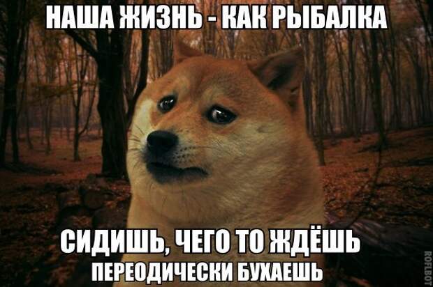 JRB_DKQWt6E