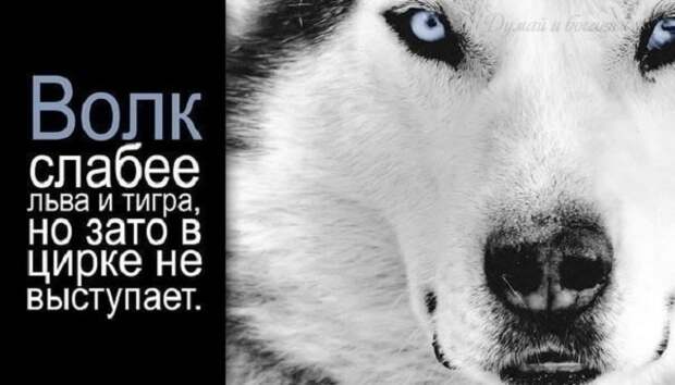 www.vsyako.net