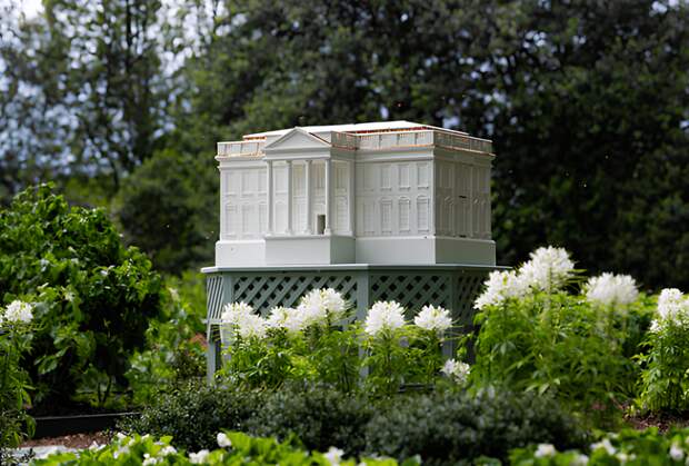 Мелания Трамп начала разводить пчел в Белом доме