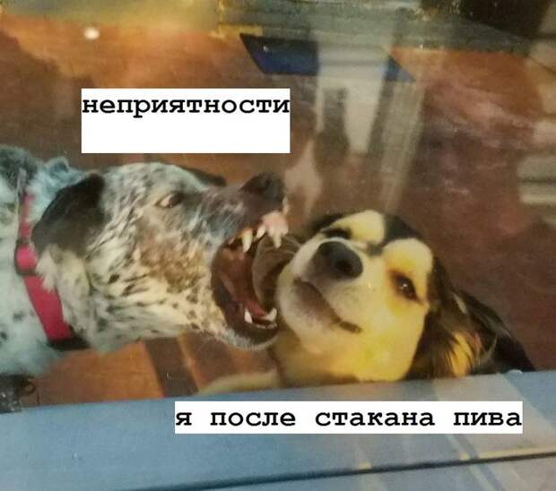 Об алкоголе в картинках.