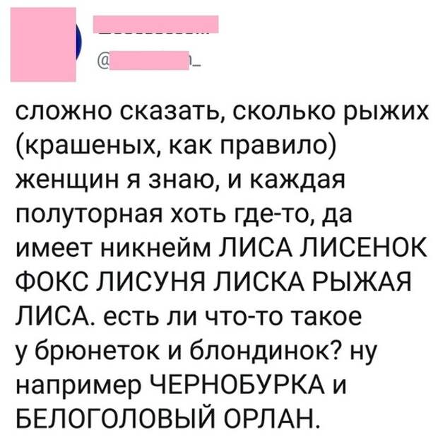 О никах и прозвищах: О никах и прозвищах: