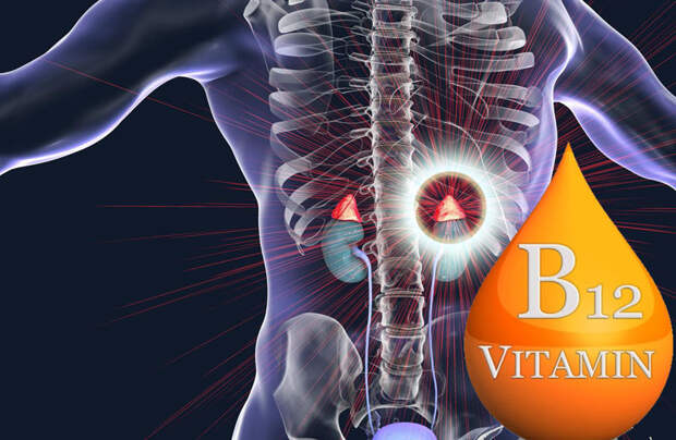 Витамин В12: Здоровая нервная система, надпочечники, метаболизм
