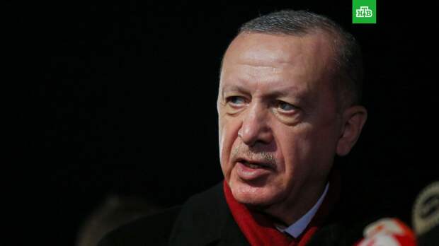 Эрдоган заявил, что поддерживает «Крымскую платформу»