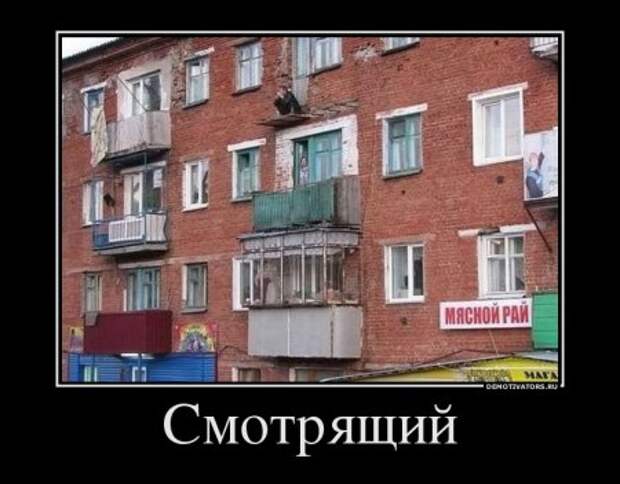 Новые демотиваторы, смешные фразы в картинках.