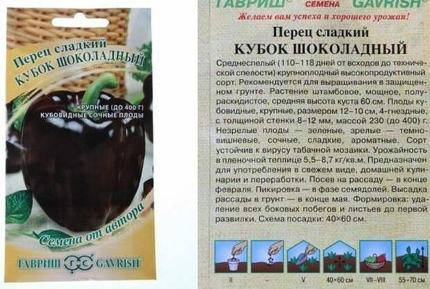 Даже свекровь удивляется моим перцам. Какие сорта мои фавориты?