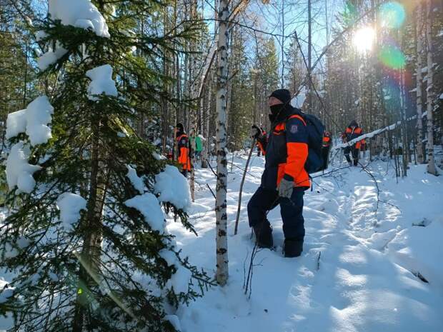 Спасатель объяснил светящиеся точки по пути маршрута Усольцевых