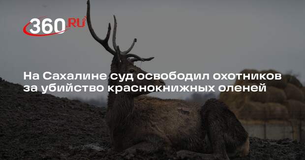 Убившие 26 краснокнижных оленей браконьеры избежали наказания