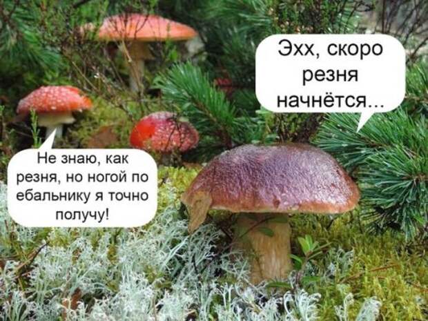 Новые прикольные фотомемы (24 шт)