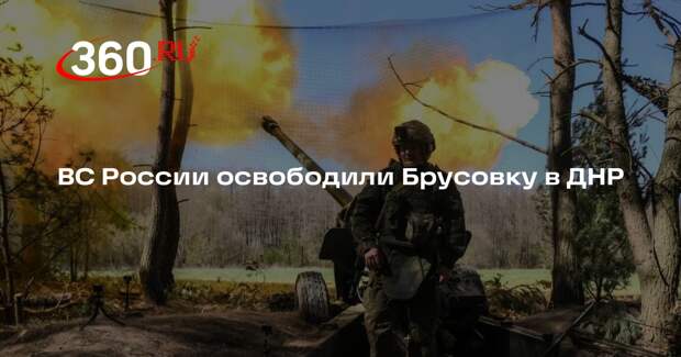 Минобороны: ВС России взяли под контроль Брусовку в ДНР