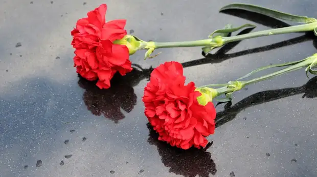 На Украине погиб 23-летний солдат из Кирова Евгений Баранов