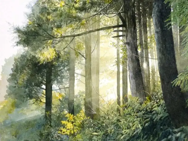 Рисунки акварелью. Abe Toshiyuki