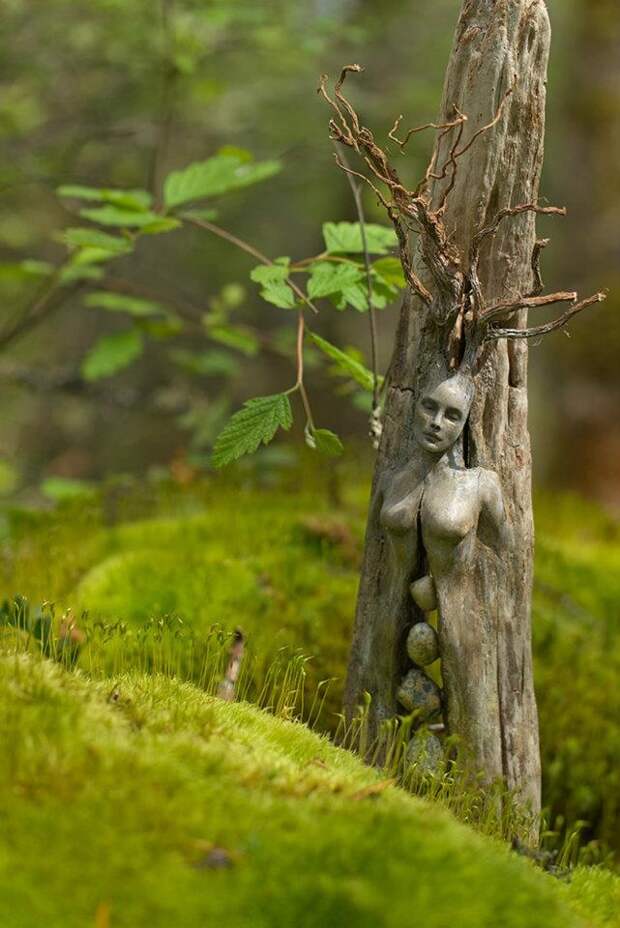 Driftwood sculptures by Debra Bernier